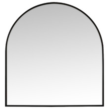 Gabe Arched Stainless Steel Wall Mirror